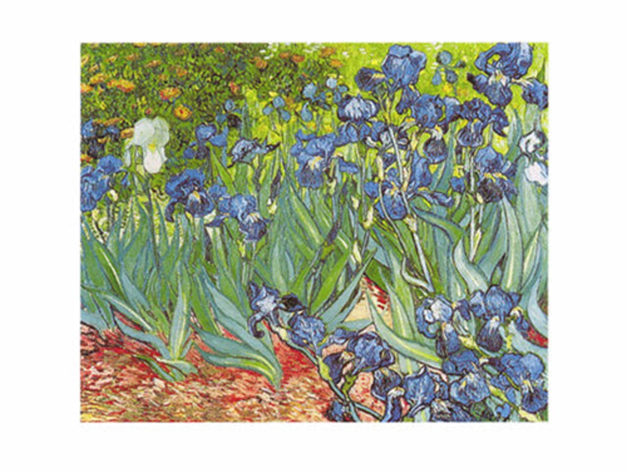 Framed Art Les Iris by Vincent van Gogh - Floral Masterpiece Wall, 23.5 inches